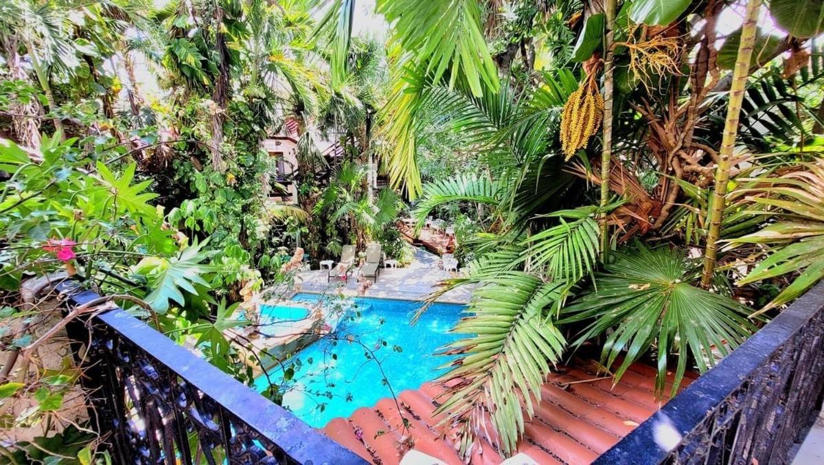 Eco-Hotel El Rey Del Caribe Канкун Экстерьер фото